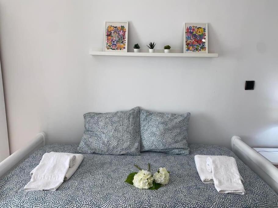 Apartamento Soltova Casar de Cáceres エクステリア 写真