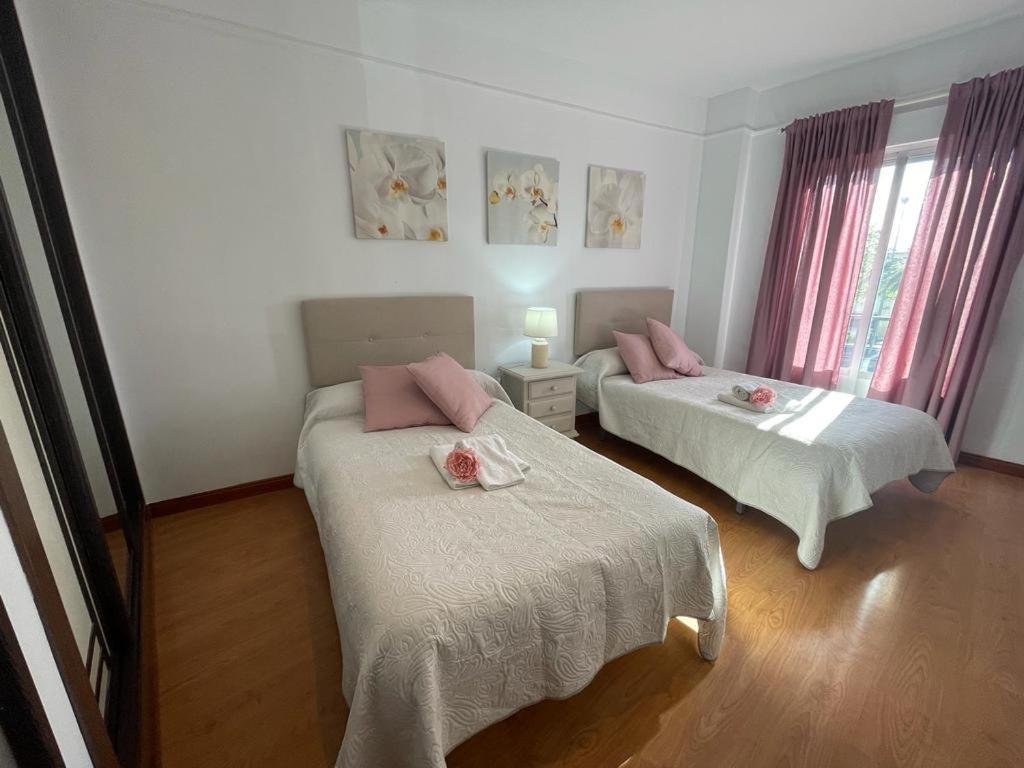 Apartamento Soltova Casar de Cáceres エクステリア 写真