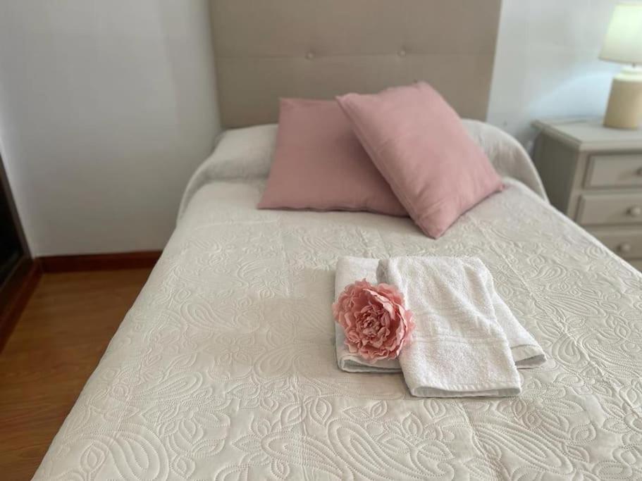 Apartamento Soltova Casar de Cáceres エクステリア 写真